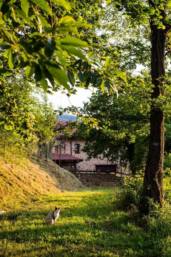 Ferienwohnung Gorosarri Escoriaza Exterior foto